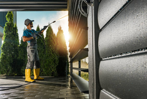 Best Sidewalk and Walkway Cleaning  in Winter Beach, FL
